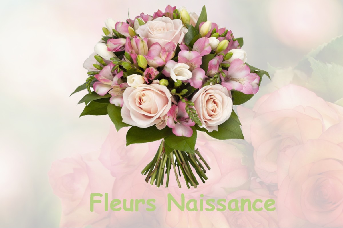 fleurs naissance LE-VILLEY