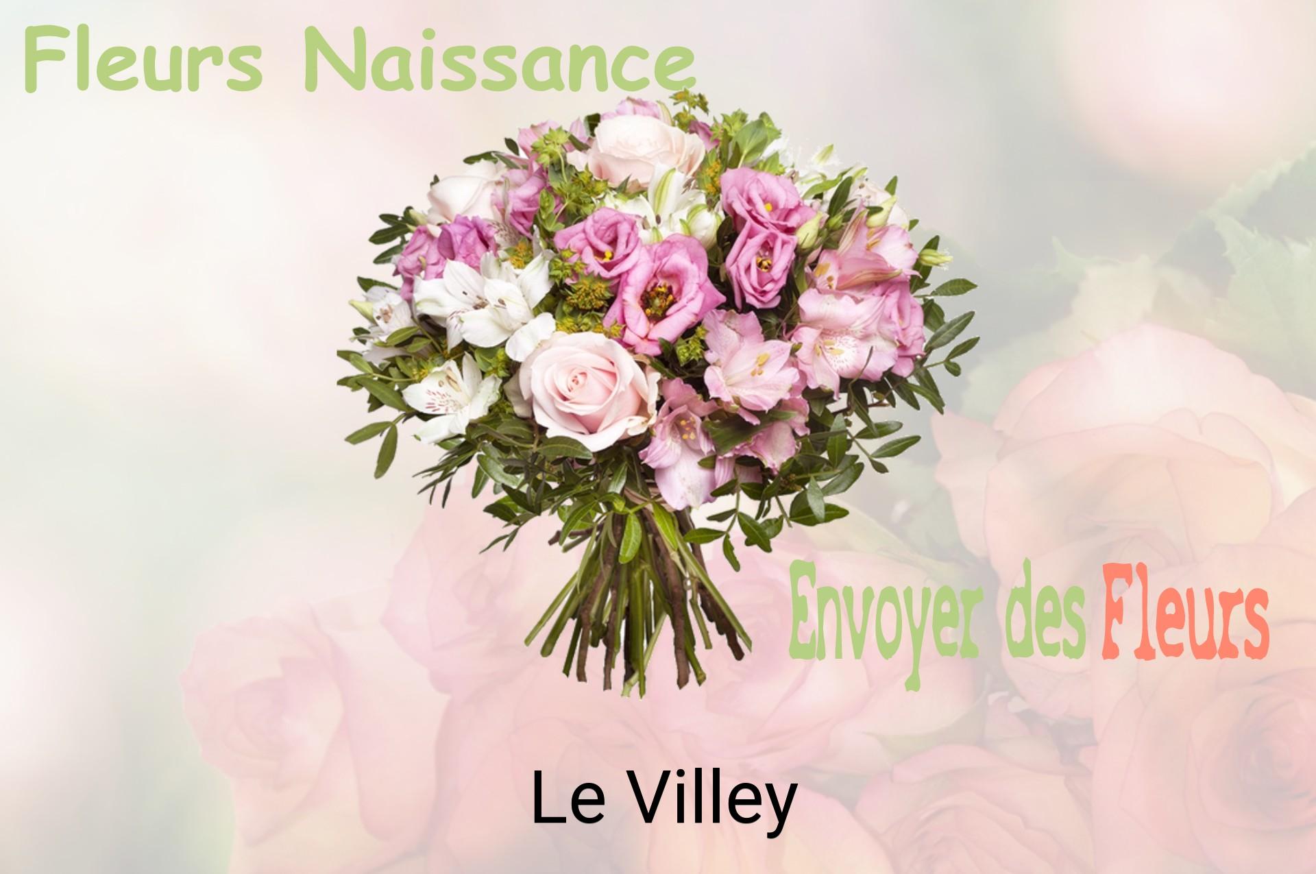 Bouquet de fleurs de naissance livré à Le Villey