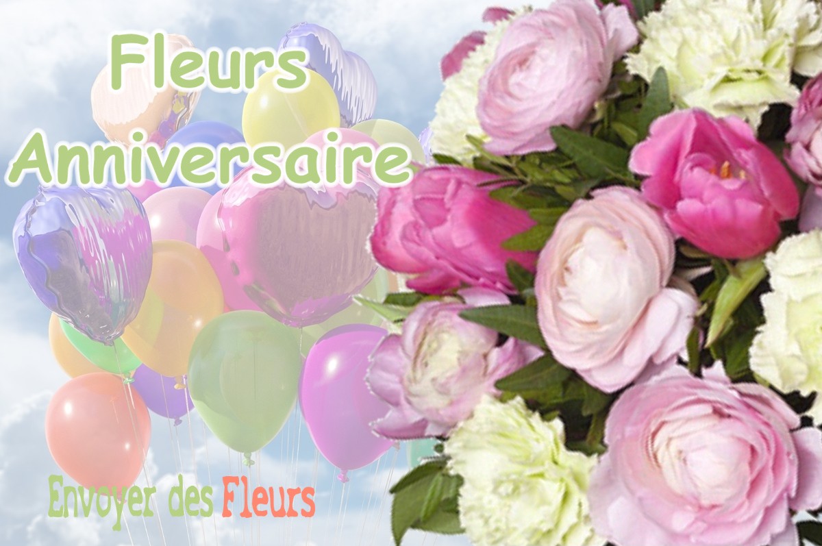 lIVRAISON FLEURS ANNIVERSAIRE à LE-VILLEY