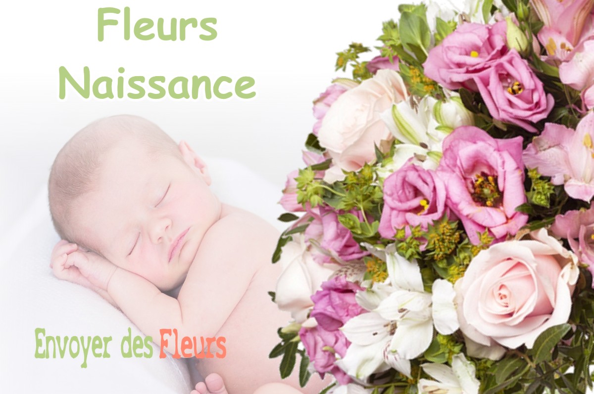 lIVRAISON FLEURS NAISSANCE à LE-VILLEY