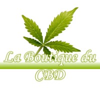 LA BOUTIQUE DU CBD LE-VILLEY 